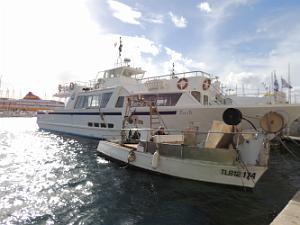 2018 03 12 TOULON BALLADE DANS LES RUES ET AU PORT (39)